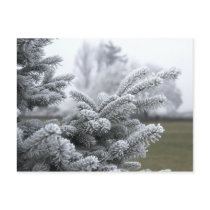 WINTER GREETINGS postcards