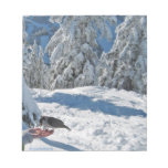 Winter Grey Jay Notepad Winter Grey Jay Notepad