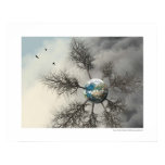 Winter - Hiver posters