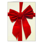 Winter Holiday Card:  "All Wrapped Up"