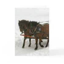 Winter Holiday Card: "dazzling duo" by BeLovedCards Winter Holiday Card: "dazzling duo"