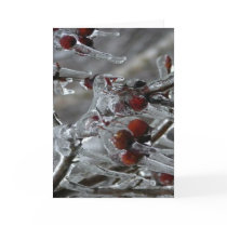 Winter Holiday Card: "Ice on Berries" by BeLovedCards Winter Holiday Card: "Ice on Berries"