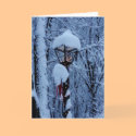 Winter Holiday Card: "Magic Lamp Post" by BeLovedCards Winter Holiday Card: "Magic Lamp Post"
