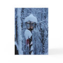 Winter Holiday Card: "Magic Lamp Post" by BeLovedCards Winter Holiday Card: "Magic Lamp Post"