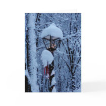 Winter Holiday Card: "Magic Lamp Post" by BeLovedCards Winter Holiday Card: "Magic Lamp Post"