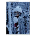 Winter Holiday Card: "Magic Lamp Post"