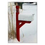 Winter Holiday Card: "Snow Mail"