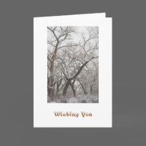 Winter Holiday Card Template