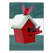 Winter Home  cards