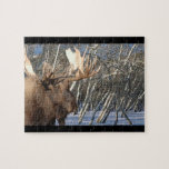Winter Home Puzzle puzzles