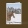 Winter Horse