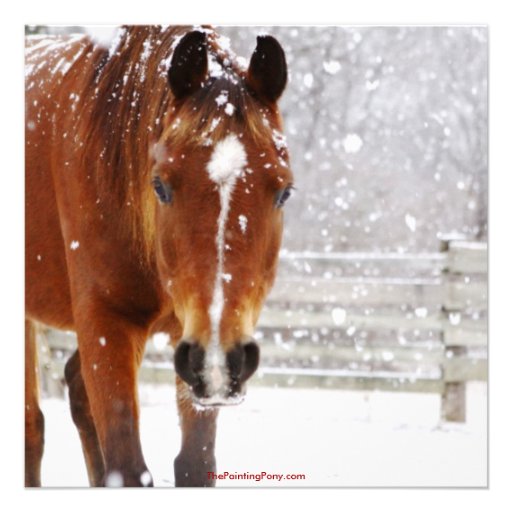Winter Horse Christmas Party Personalized Invites