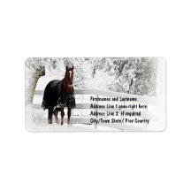 Winter Horse Custom Address Label