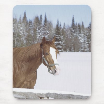 Winter Horse mousepads