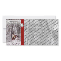 Winter Horse photo cards by MAPASUE Winter Horse photo cards