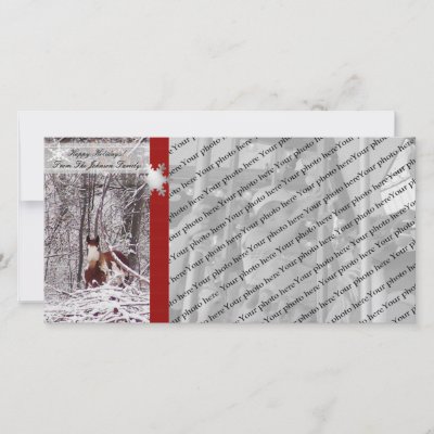 Winter Horse photo cards