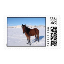 Winter Horse Stamp