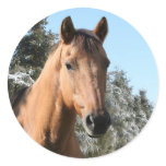 Winter horse stickers