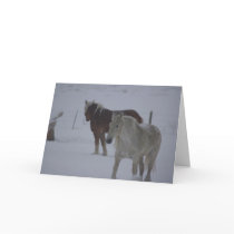 Winter Horses cards by 1drafthorse Winter Horses cards