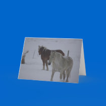 Winter Horses cards by 1drafthorse Winter Horses cards