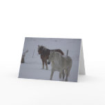 Winter Horses Card