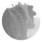 Winter Horses sticker