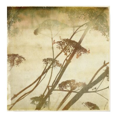 Winter Hydrangea Print by OccasionalOasis