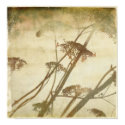 Winter Hydrangea posters