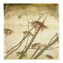 Winter Hydrangea posters by OccasionalOasis Winter Hydrangea posters