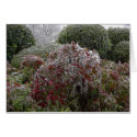 Winter I cards