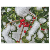 Winter - Ice coated Holly flyers by suburbanscenes Winter - Ice coated Holly flyers