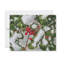 Winter - Ice coated Holly invitations by suburbanscenes Winter - Ice coated Holly invitations
