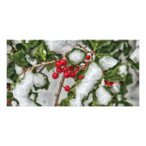 Winter - Ice coated Holly photo cards