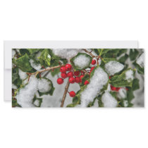 Winter - Ice coated Holly rack cards by suburbanscenes Winter - Ice coated Holly rack cards