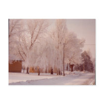 Winter Ice Postcard