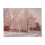 Winter Ice Postcard