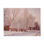 Winter Ice Postcard