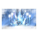 Winter Ice Queen fantasy art poster posters