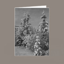 Winter in Black and White cards