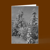 Winter in Black and White cards