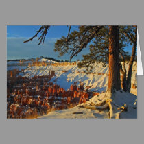 Winter In Bryce Canyon cards