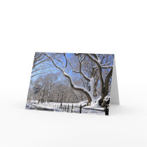 Winter in Central Park, New York City Greeting Card