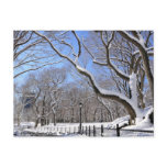 Winter in Central Park, New York City Post Card