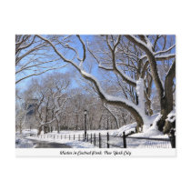 Winter in Central Park, New York City Postcards