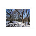 WINTER IN CENTRAL PARK posters by vitaliy WINTER IN CENTRAL PARK posters