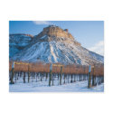 Winter in Colorado Wine Country postcards by bluerabbit Winter in Colorado Wine Country postcards