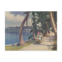 Winter in Florida, 1908 Postcard