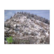Winter In Greenwood Postcard