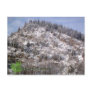 Winter In Greenwood Postcard
