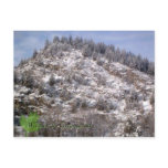 Winter In Greenwood Postcard